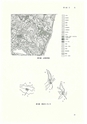 ac_cho_0002_takanabe