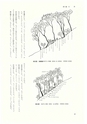 ac_cho_0002_takanabe