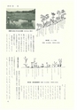 ac_cho_0002_takanabe