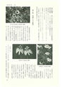 ac_cho_0002_takanabe