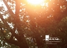 m01_20120705111659_bisyoujo06