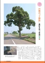 m07_201310080000_kawaminami_2510