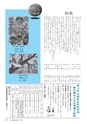 m11_201404160000_kunitomi_k_h2508