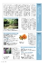 m13_20120326202700_kouhouhyuga20