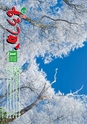 m14_201301120151_morotuka_k_h2501