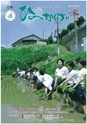m19_201407170000_hinokage_k_h2607