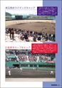 m21_20120514140203_shiseiyouran