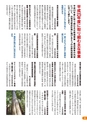 m21_201305130002_nichinan_k_h2505